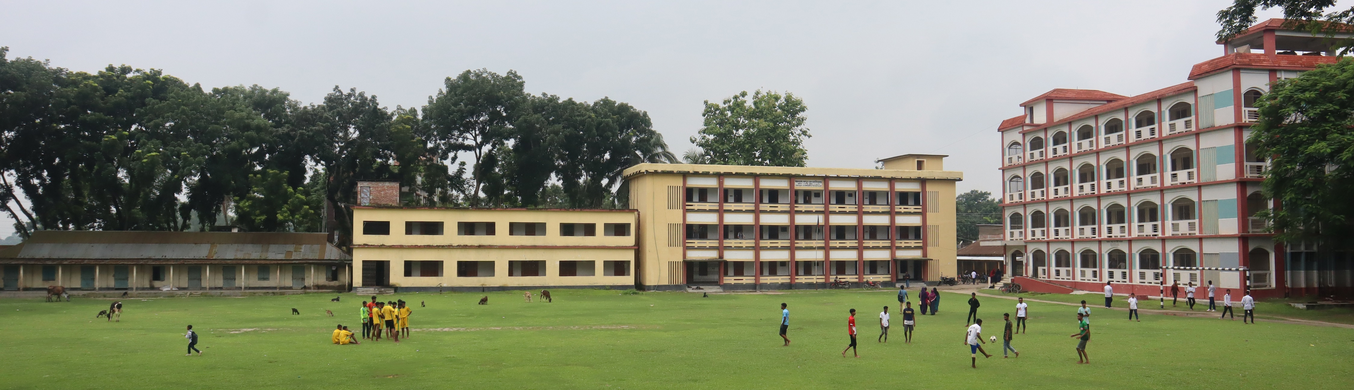 কলেজ ব্যানার